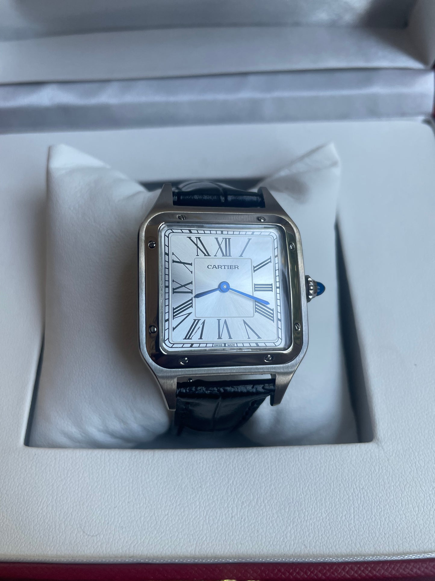 Cartier Santos (Piel)