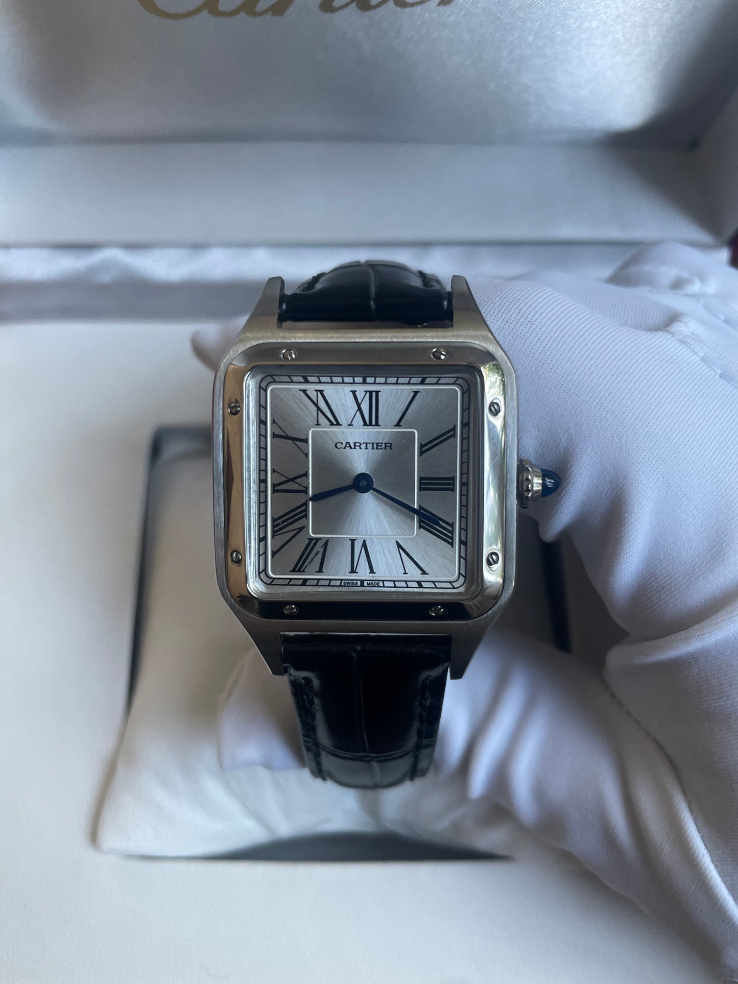 Cartier Santos (Piel)