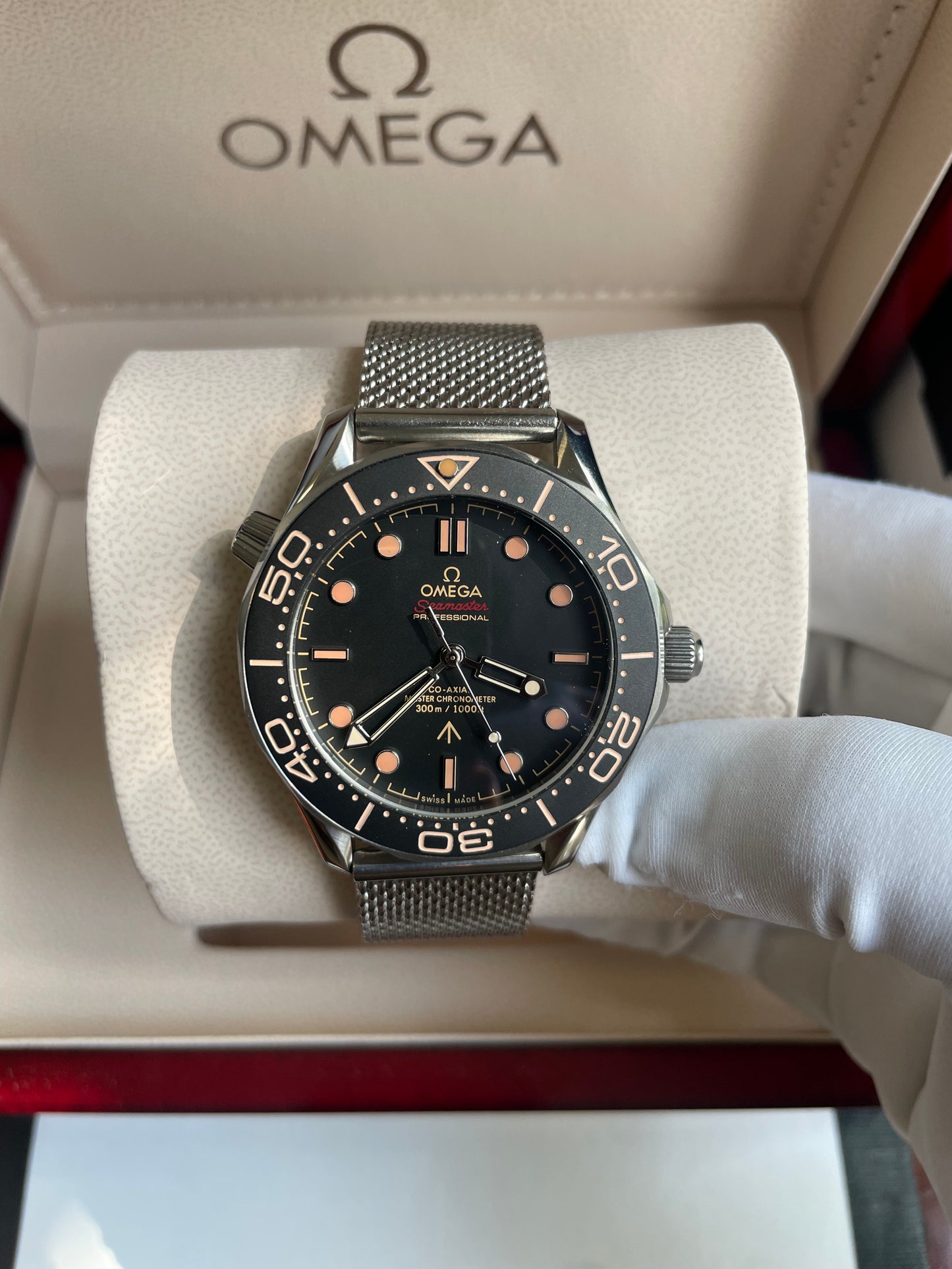 Omega Seamaster (Mesh)