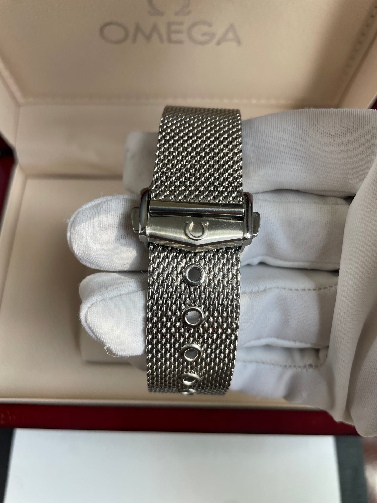 Omega Seamaster (Mesh)